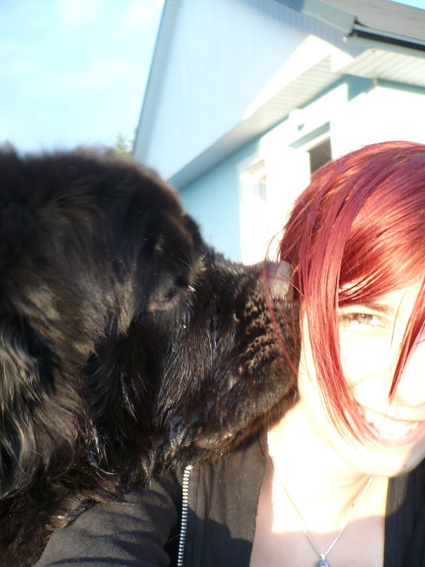 Inna The Newfoundland :)