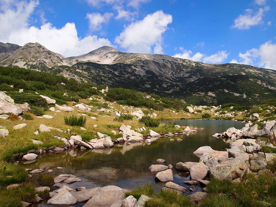 Pirin National Park, Bulgaria