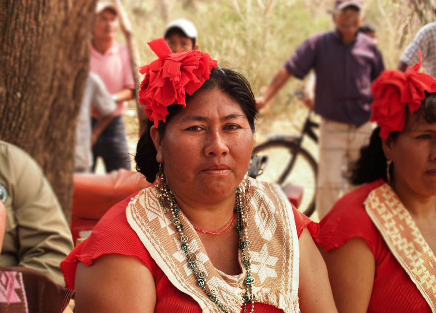 Capitana Grande Fidelia From Guaraní-izozog, Bolivia.