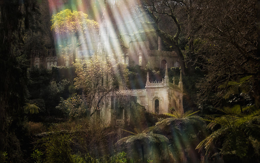 The Palace Of Mystery: My Pictures Of Quinta Da Regaleira