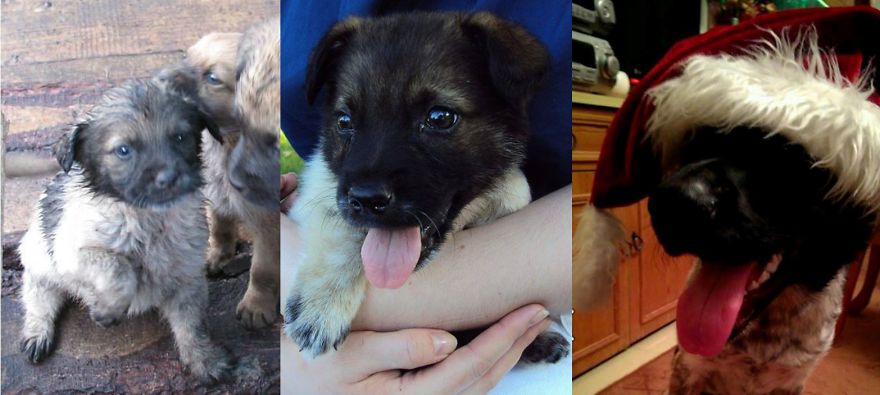 Mikuś Befor, After And Now:)