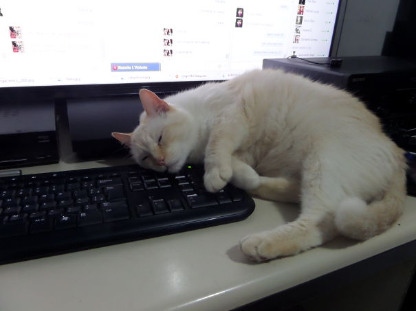 Moleque Taking A Break From It Work.