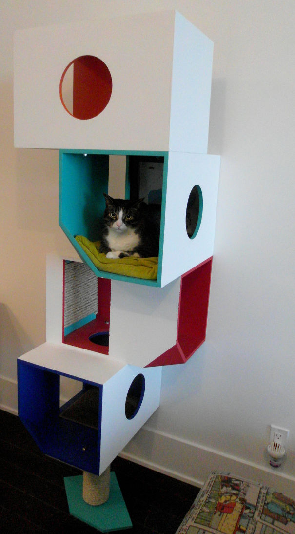Kitty Condo