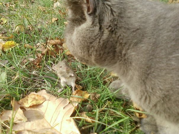 Let's Be Friends... For A While :)