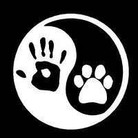 zooney-looney avatar