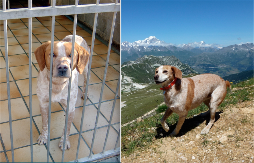 Woodford (woody) . . . Freedom