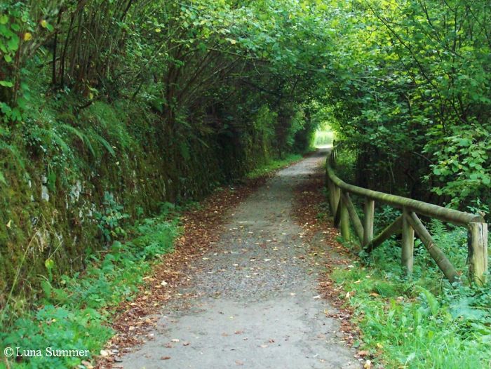 Senda Del Oso, Asturias (spain)