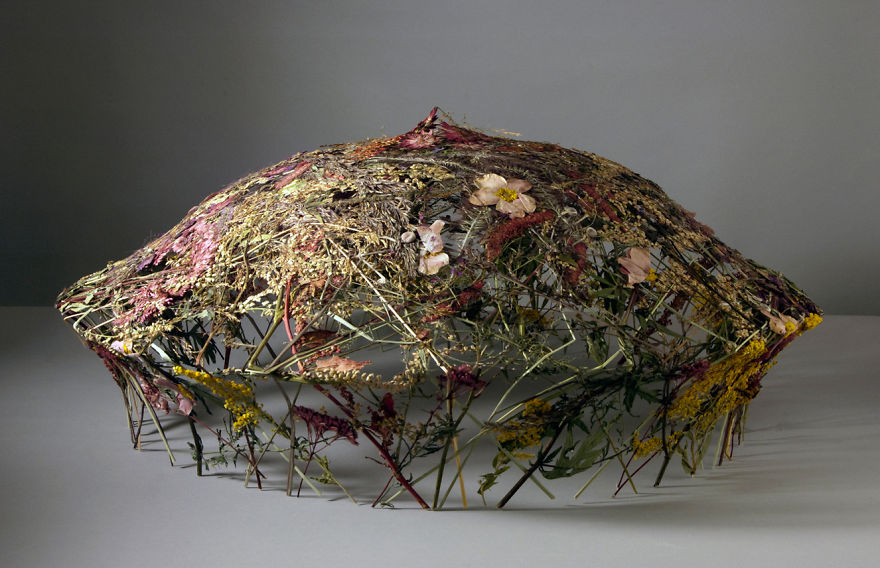 Spanish Artist Creates Delicate Pressed Flower Sculptures From The Most Famous European Gardens