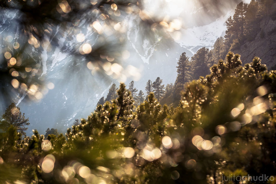 I'm A Climbing Photographer Who Loves Taking Pictures In The Polish Tatra Mountains I'm A Climbing Photographer Who Loves Taking Pictures In The Polish Tatra Mountains
