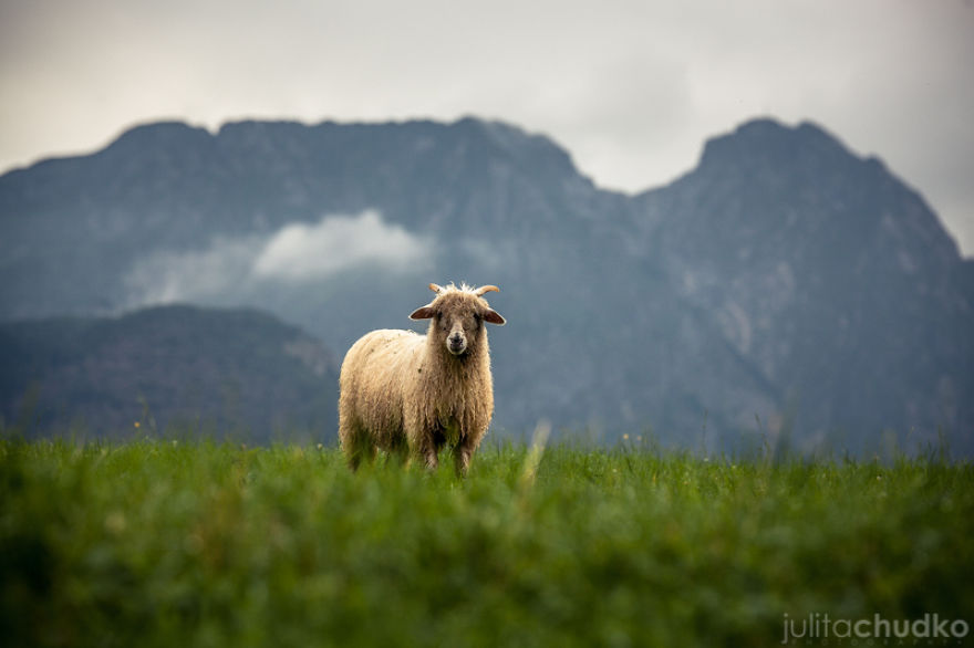 I'm A Climbing Photographer Who Loves Taking Pictures In The Polish Tatra Mountains I'm A Climbing Photographer Who Loves Taking Pictures In The Polish Tatra Mountains