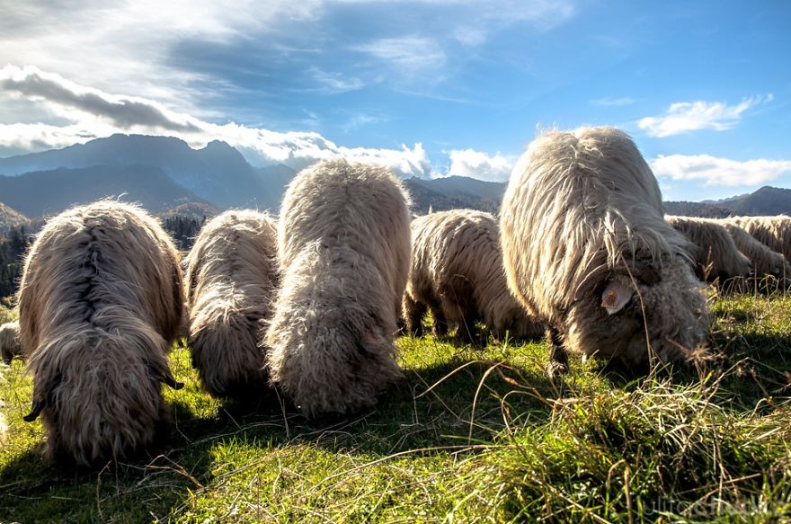 I'm A Climbing Photographer Who Loves Taking Pictures In The Polish Tatra Mountains I'm A Climbing Photographer Who Loves Taking Pictures In The Polish Tatra Mountains
