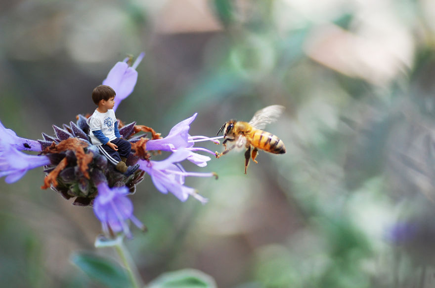 The Macro World In My Backyard