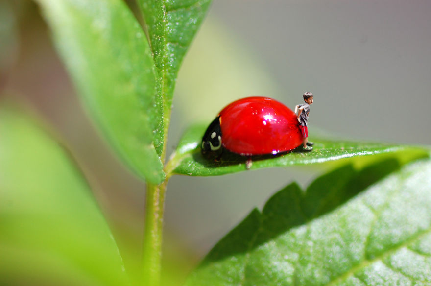 The Macro World In My Backyard