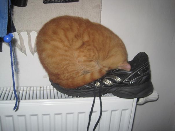 Not Your Shoe Anymore!