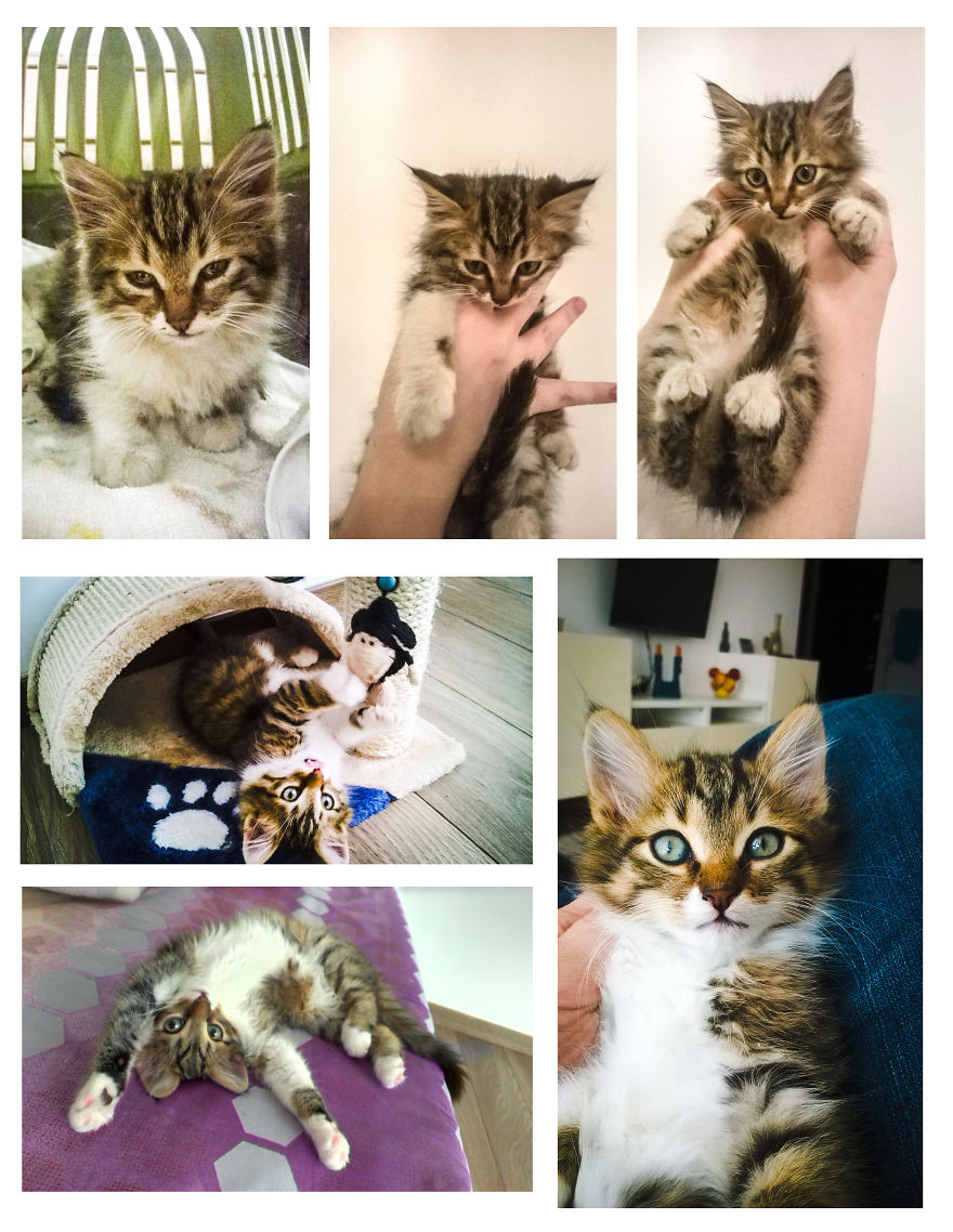 My Name Is Oz ... And I'm A Little Wizard :)