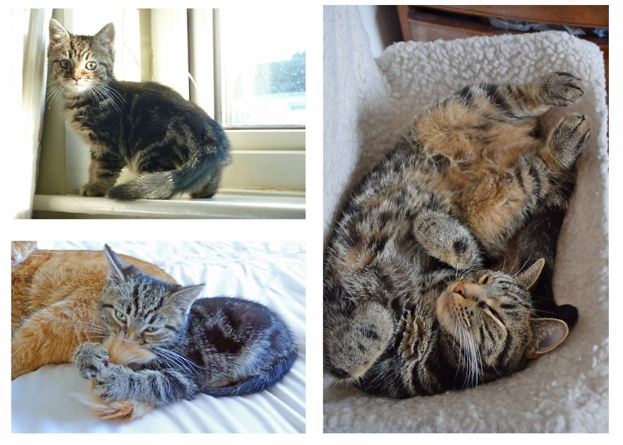 Sam - From Ragamuffin To Centre Of The Universe