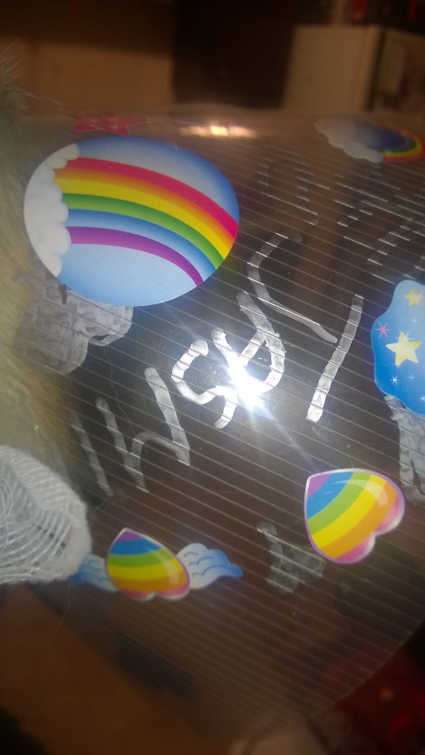 Unicorn Cone Of Shame