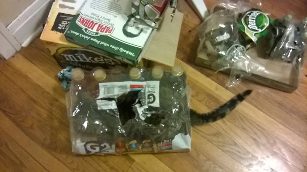 Why Yes, This Is Exactly Where I Fits Today.