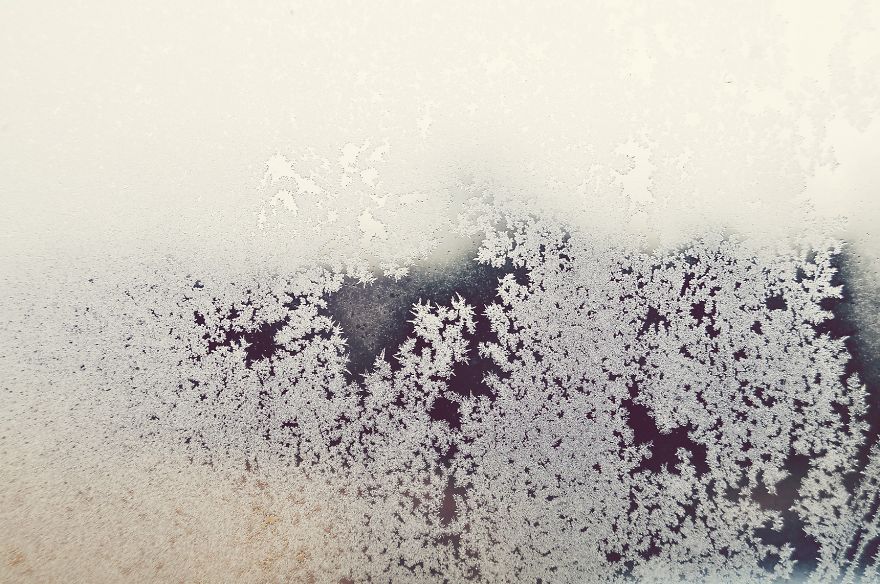 The Magic Of Winter That I Captured In The Forest The Magic Of Winter That I Captured In The Forest