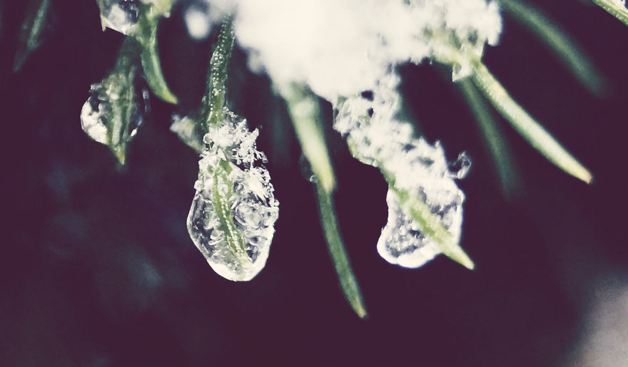 The Magic Of Winter That I Captured In The Forest The Magic Of Winter That I Captured In The Forest