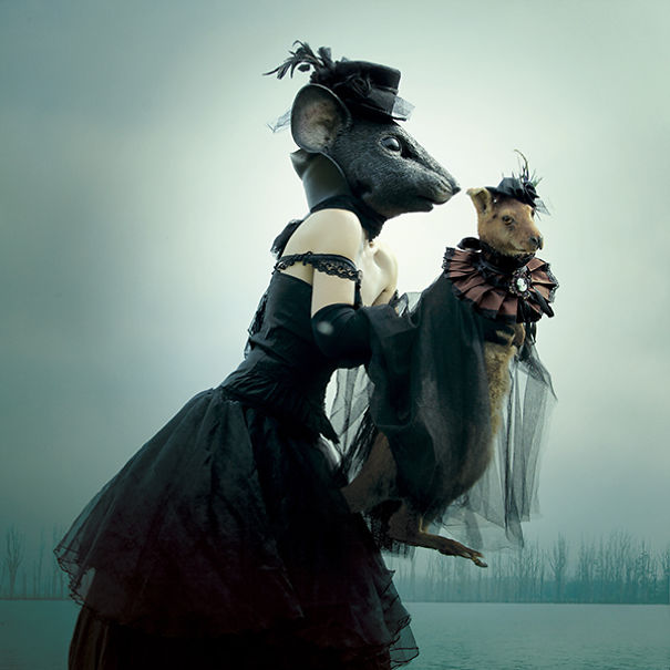 Wounderland: Surreal World Of Imagination, Nightmares And Taxidermy