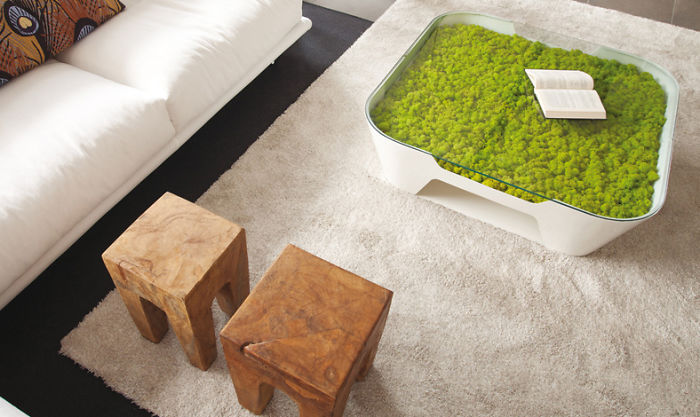Moss Table