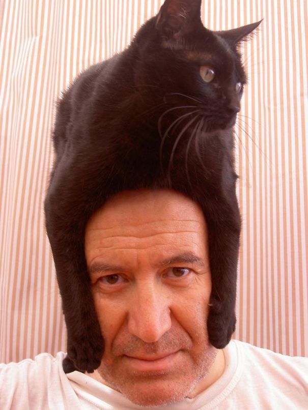 Cat Hat