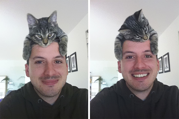 Cat Hat