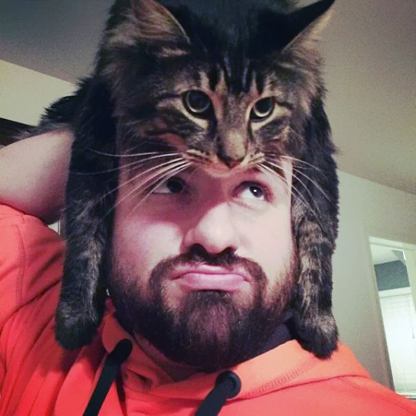 Cat Hat