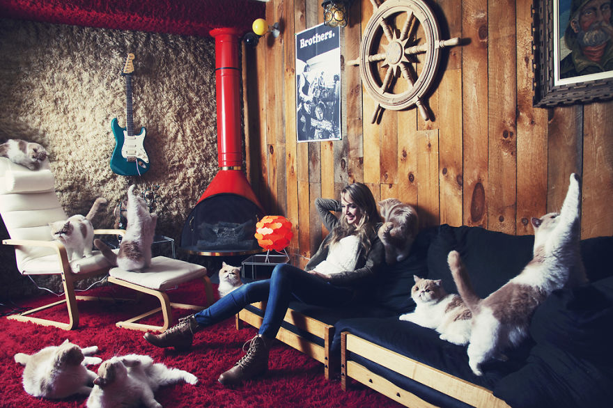 My Photos Of Crazy Cat Lovers