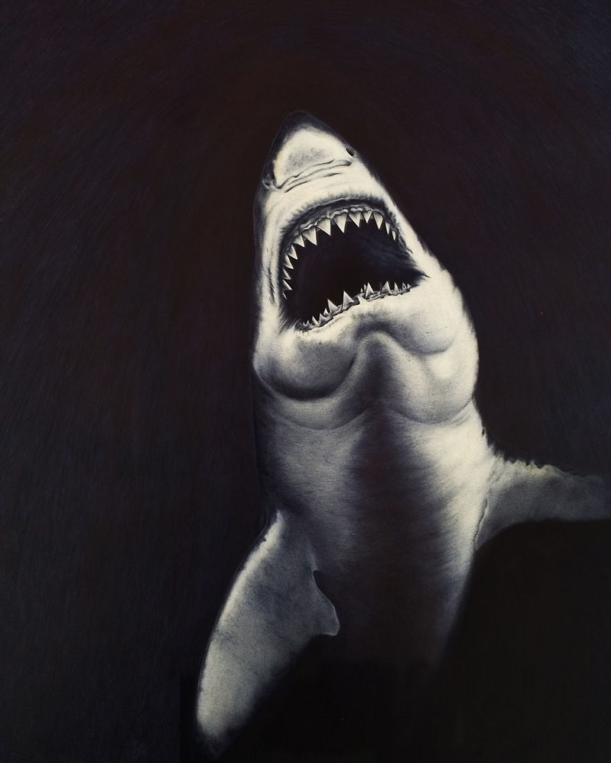 The Great White Shark