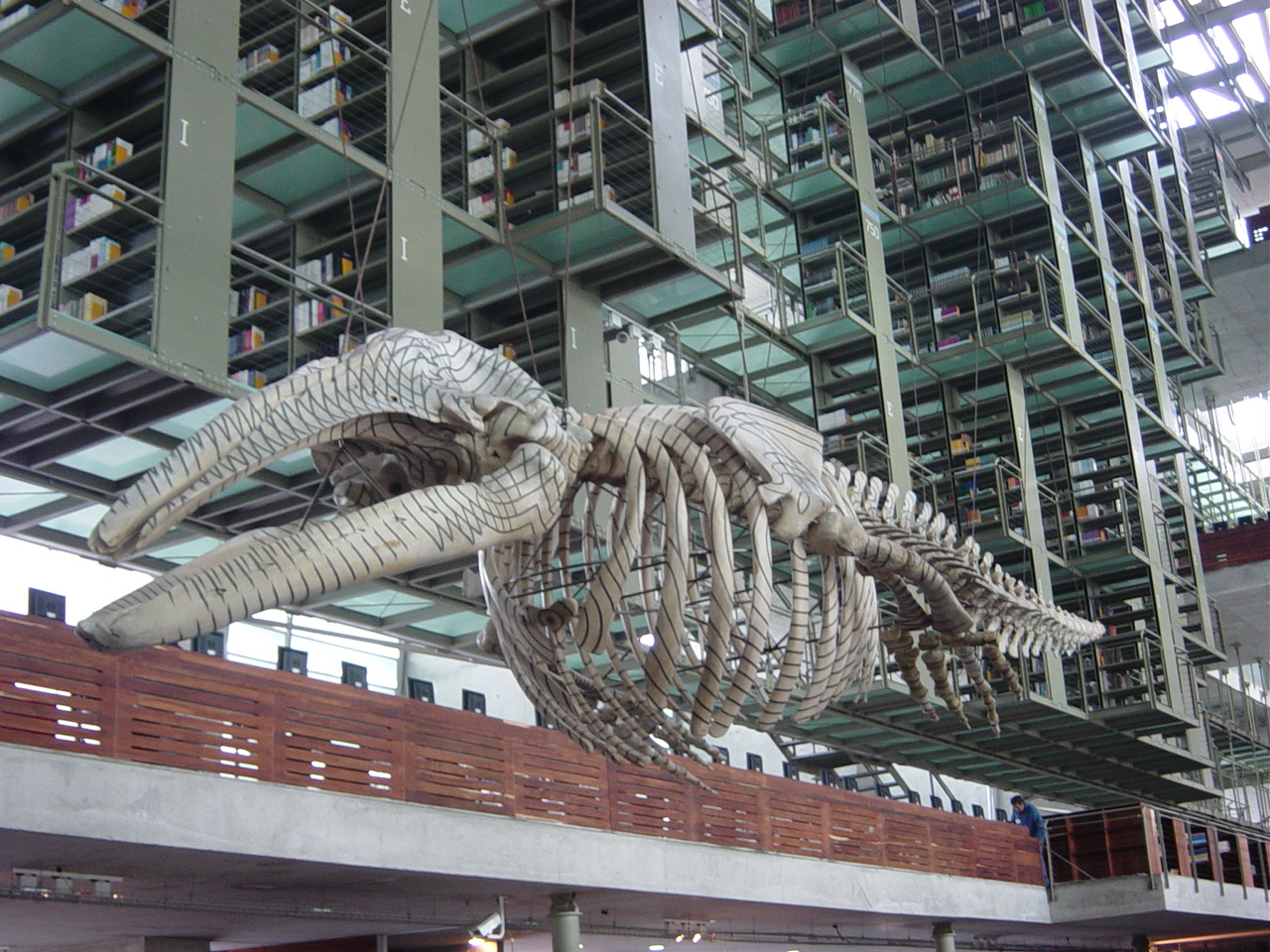 Jose Vasconcelos Library, Mexico