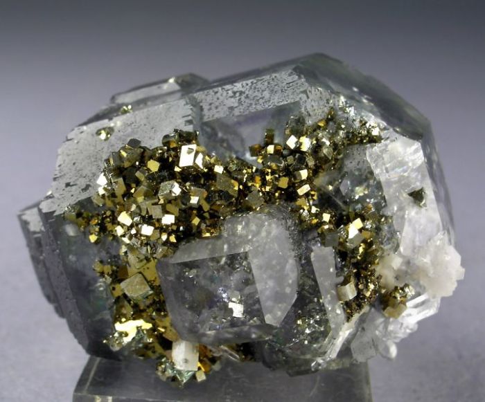 Beautiful minerals featuring clear crystals with gold pyrite inclusions.
