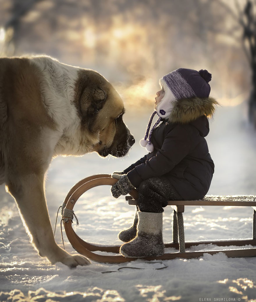animal-children-photography-elena-shumilova-2-21 animal-children-photography-elena-shumilova-2-21