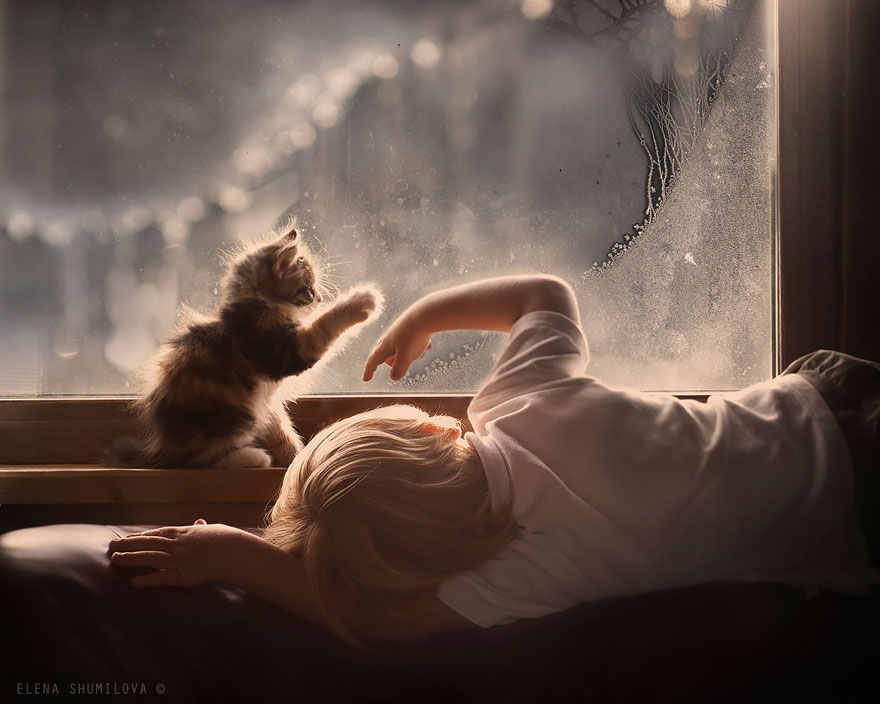 animal-children-photography-elena-shumilova-2-4