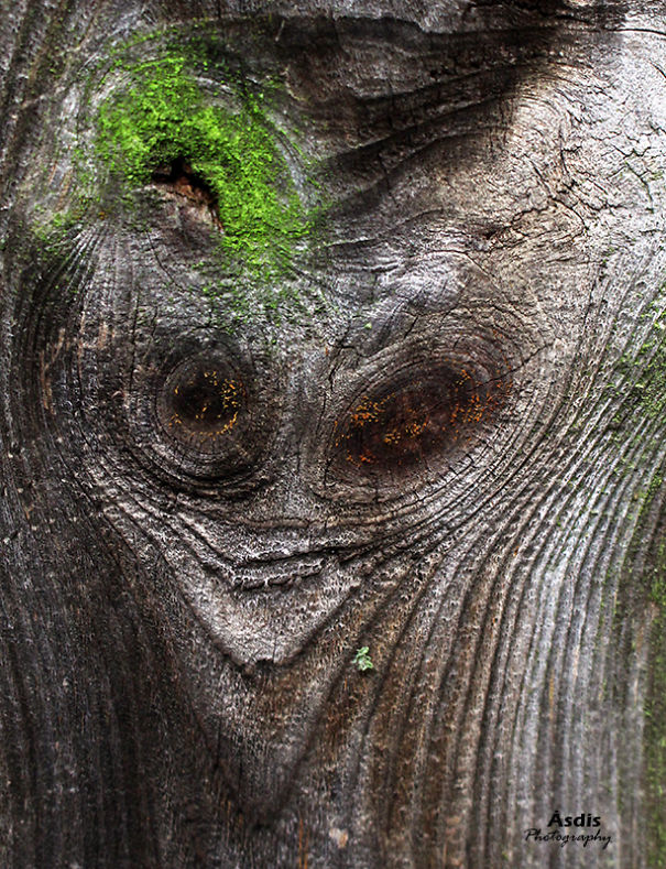 "they Are All Around Us"