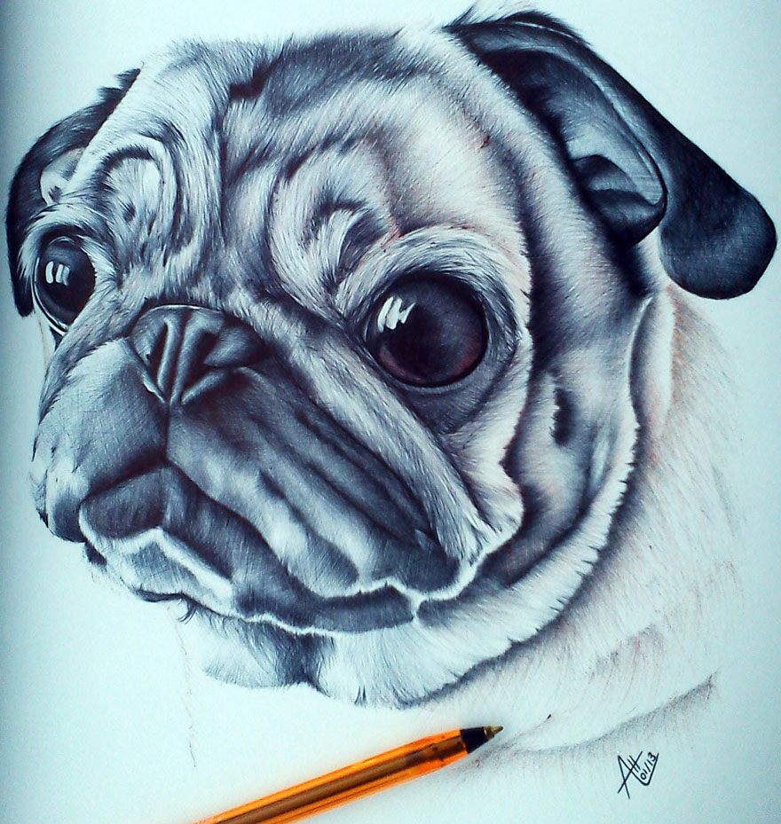 Biro Ballpoint Pen Pug Drawing