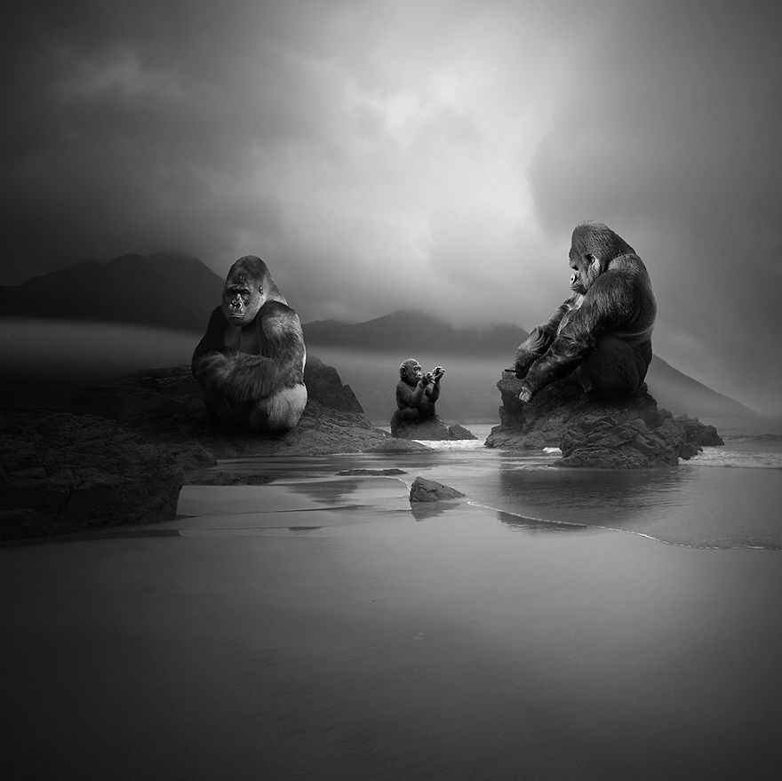 I Create Surreal Illustrations Based On My Darkest Visions And Dreams I Create Surreal Illustrations Based On My Darkest Visions And Dreams