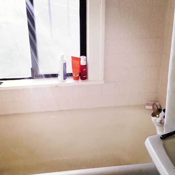 Will You Close The Curtain Papa?! I Need My Privacy!