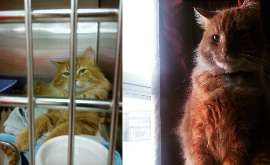 Cash! Before And Later....