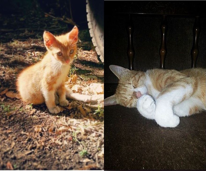 Sad Little Gremlin Smiling