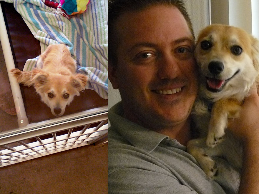 Bella Before And After Adoption!