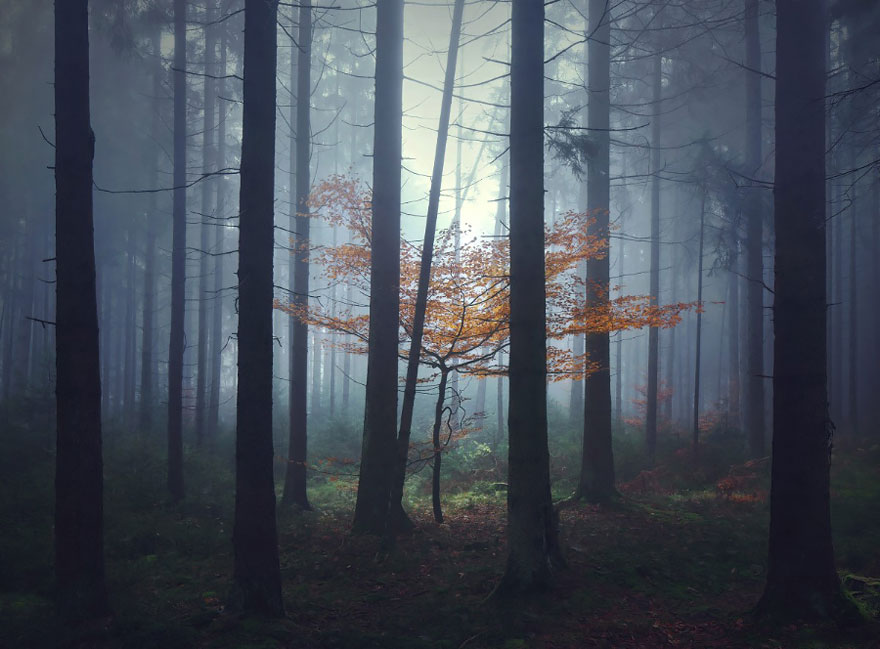 brothers-grimm-wanderings-landscape-photography-kilian-schonberger-13 brothers-grimm-wanderings-landscape-photography-kilian-schonberger-13