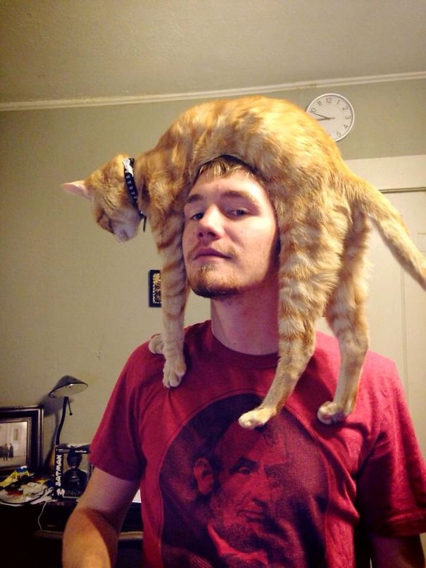 Cat Hat