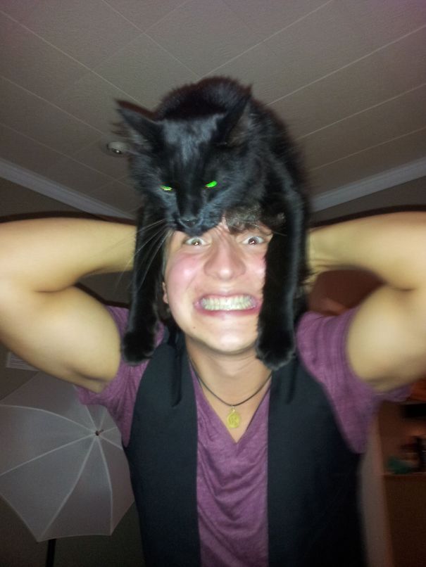 Cat Hat