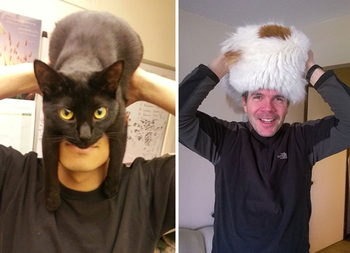 People Wearing Cats As Hats Is The Cutest Trend Right Now