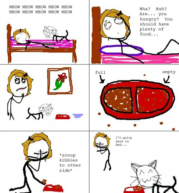 Cats And Food - A Never-Ending Nightmare