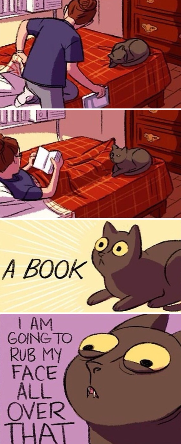 Cats And Books