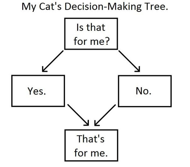 Cat's Decision-Making Tree