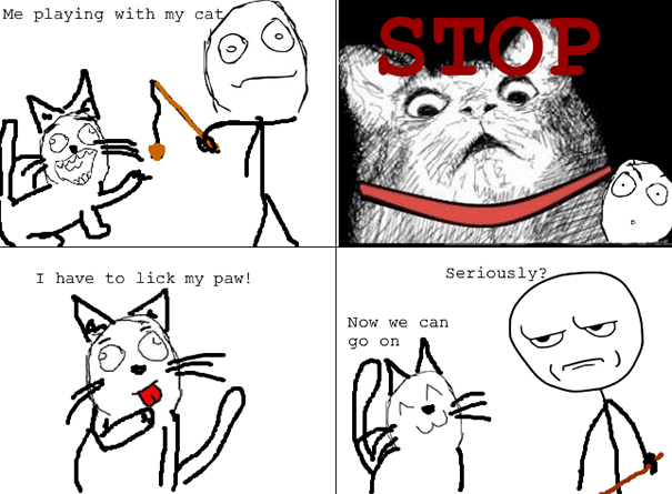 Just An Average Day In A Cat's Life